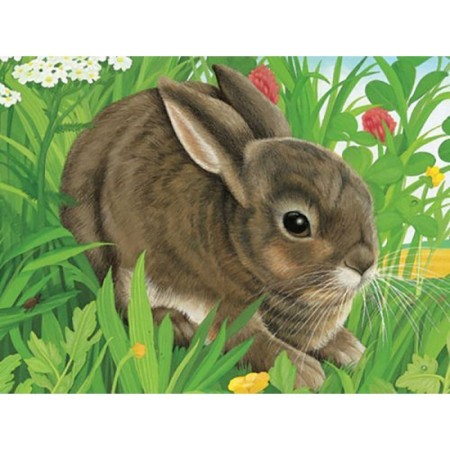 Puzzle In Cutie Animale, 12 Piese Ravensburger - 1