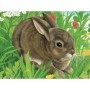Puzzle In Cutie Animale, 12 Piese Ravensburger - 1