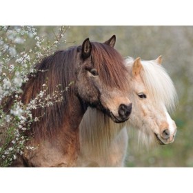 Puzzle Ponei, 150 Piese Ravensburger - 1