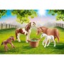 Playmobil - Set Ponei Si Manji Playmobil - 1