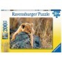 Puzzle Micul Leu, 200 Piese Ravensburger - 2