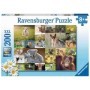 Puzzle pui de animale 200 piese