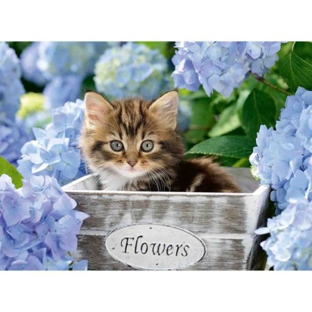 Puzzle pisicuta intre flori 300 piese