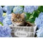 Puzzle pisicuta intre flori 300 piese
