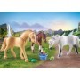 Set trei cai cu accesorii