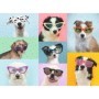 Puzzle Catei Amuzanti, 150 Piese Ravensburger - 1