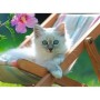 Puzzle Pisicuta Alba, 200 Piese Ravensburger - 1