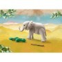Pui de elefant