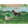 Capra Ibex