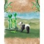 Urs panda