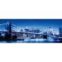 Puzzle Minunatul New York 1000 Piese Ravensburger - 2