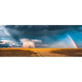 Puzzle Panorama Curcubeu, 1000 Piese Ravensburger - 1