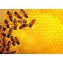 Puzzle Provocare Albine Si Fagure, 1000 Piese Ravensburger - 1