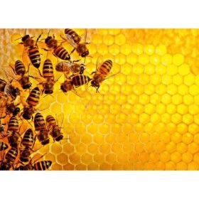 Puzzle Provocare Albine Si Fagure, 1000 Piese Ravensburger - 1