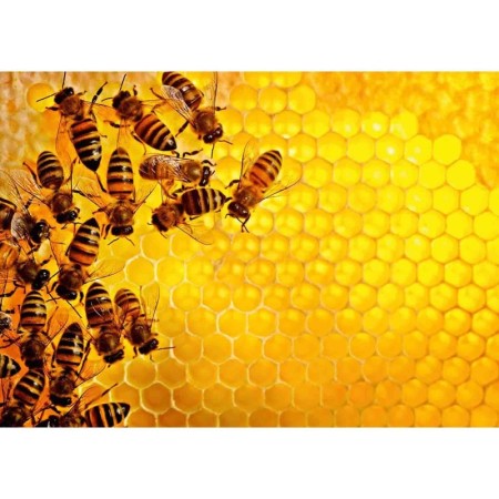 Puzzle Provocare Albine Si Fagure, 1000 Piese Ravensburger - 1