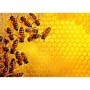 Puzzle Provocare Albine Si Fagure, 1000 Piese Ravensburger - 1