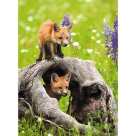 Ravensburger - Puzzle pui de vulpe 300 piese Ravensburger - 1