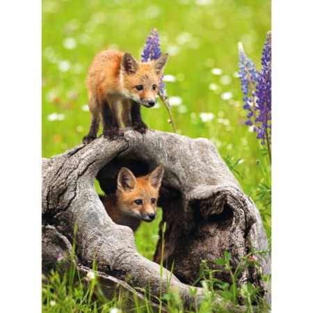 Ravensburger - Puzzle pui de vulpe 300 piese Ravensburger - 1