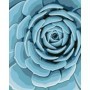 Ravensburger - CreArt pictura pe numere pentru adulti planta suculenta albastra Ravensburger - 3