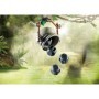 Playmobil - Dimorphodon Playmobil - 5