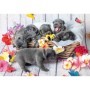 Puzzle Catelusi, 2X12 Piese Ravensburger - 2