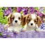 Puzzle Catelusi, 2X24 Piese Ravensburger - 2