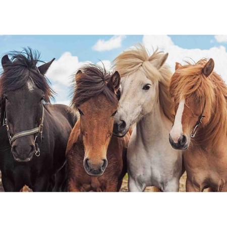 Puzzle Cai, 2X24 Piese Ravensburger - 1