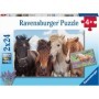 Puzzle Cai, 2X24 Piese Ravensburger - 3