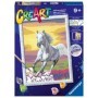Ravensburger - Pictura pe numere cal la apus Ravensburger - 2