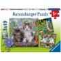 Puzzle Pisicute Tigrate, 3X49 Piese Ravensburger - 4