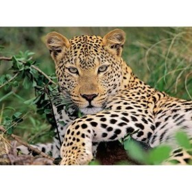 Puzzle Leopard, 100 Piese Ravensburger - 1