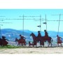 Puzzle Drumul Sfantului Iacob, 1000 Piese Ravensburger - 1