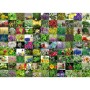 Puzzle 99 De Plante Si Condimente, 1000 Piese Ravensburger - 1