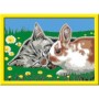 Creart - Pictura Pisicuta Si Iepuras Ravensburger - 1