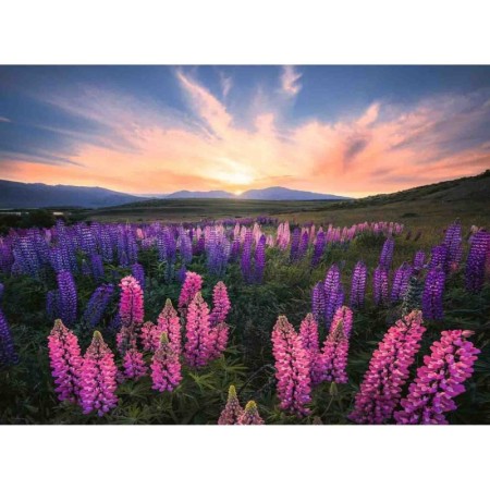 Puzzle Camp Cu Lupin, 500 Piese Ravensburger - 1