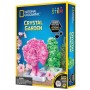 National Geographic - Kit Creativ Gradina De Cristale National Geographic - 3