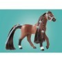Playmobil - Arena Cu Zoe Si Calutul Blaze Playmobil - 6
