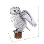 CUBICFUN - PUZZLE 3D BUFNITA POLARA 62 PIESE Cubic Fun - 4