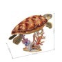 CUBICFUN - PUZZLE 3D TESTOASA MARINA 31 PIESE Cubic Fun - 5