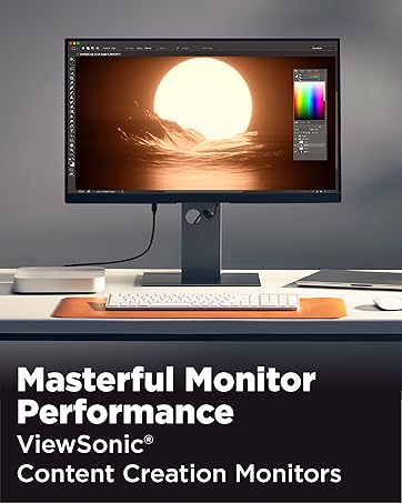 Professional Monitors